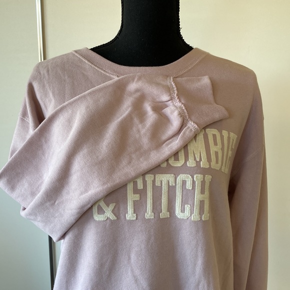 ❤️SOLD❤️ NWT Abercrombie & Fitch Womens Sweatshirt Pullover Beige/Tan Medium - Picture 4 of 10